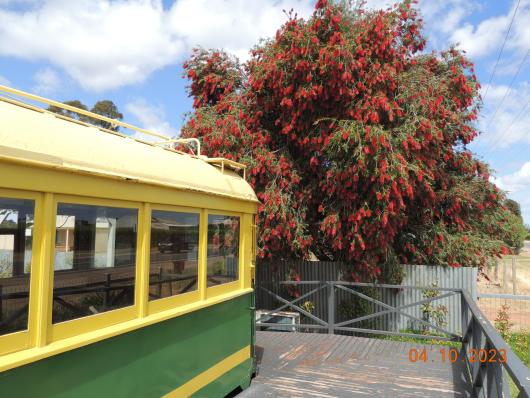 Tram Benetook